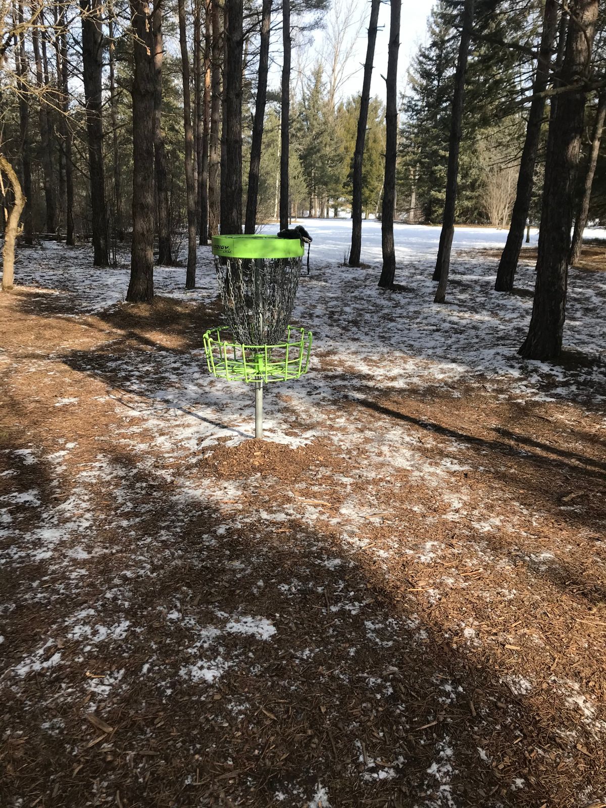 Hole 16 basket