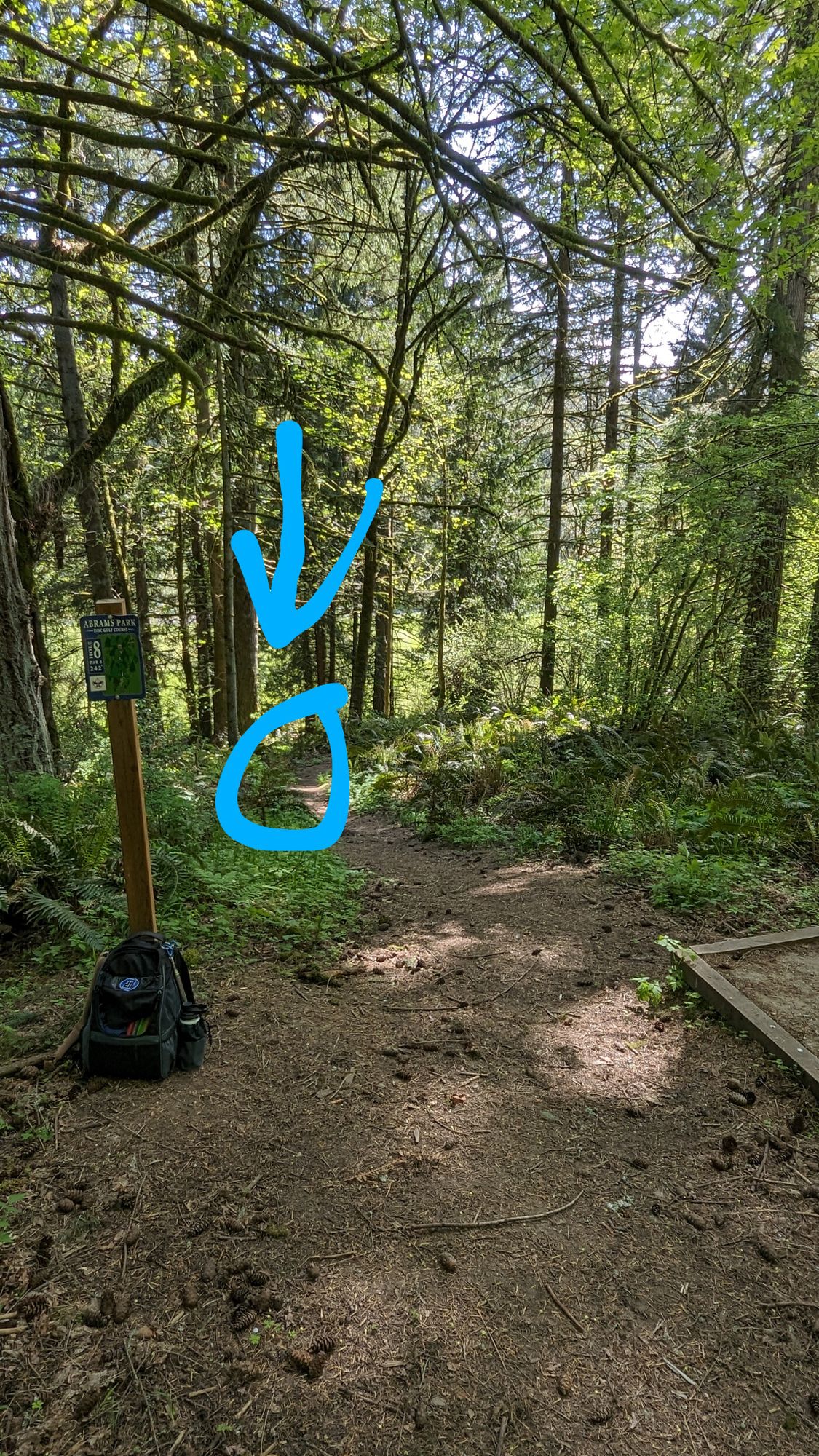 Hole 8