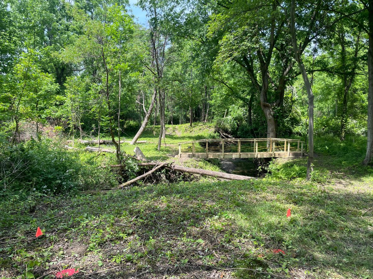Hole 9 red tees