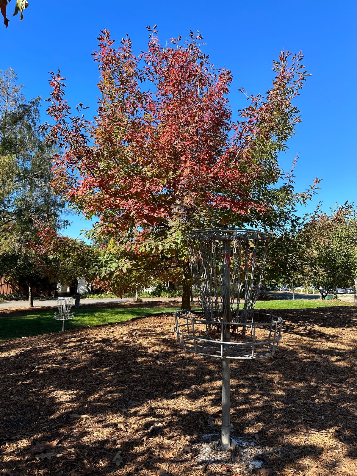 Hole 3’s green, with 1’s green in the background
