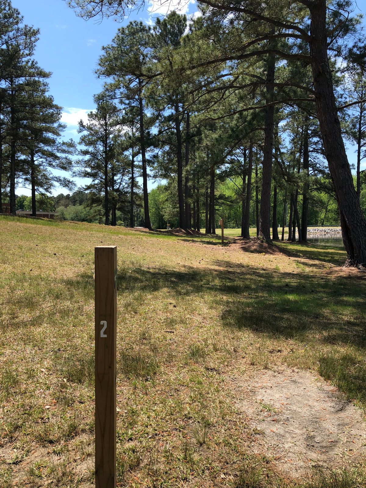 Hole #7, basket is past basket #2