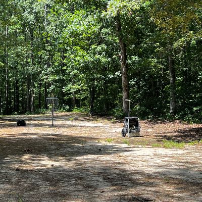 Hole 1 Turn at Fairway to basket
