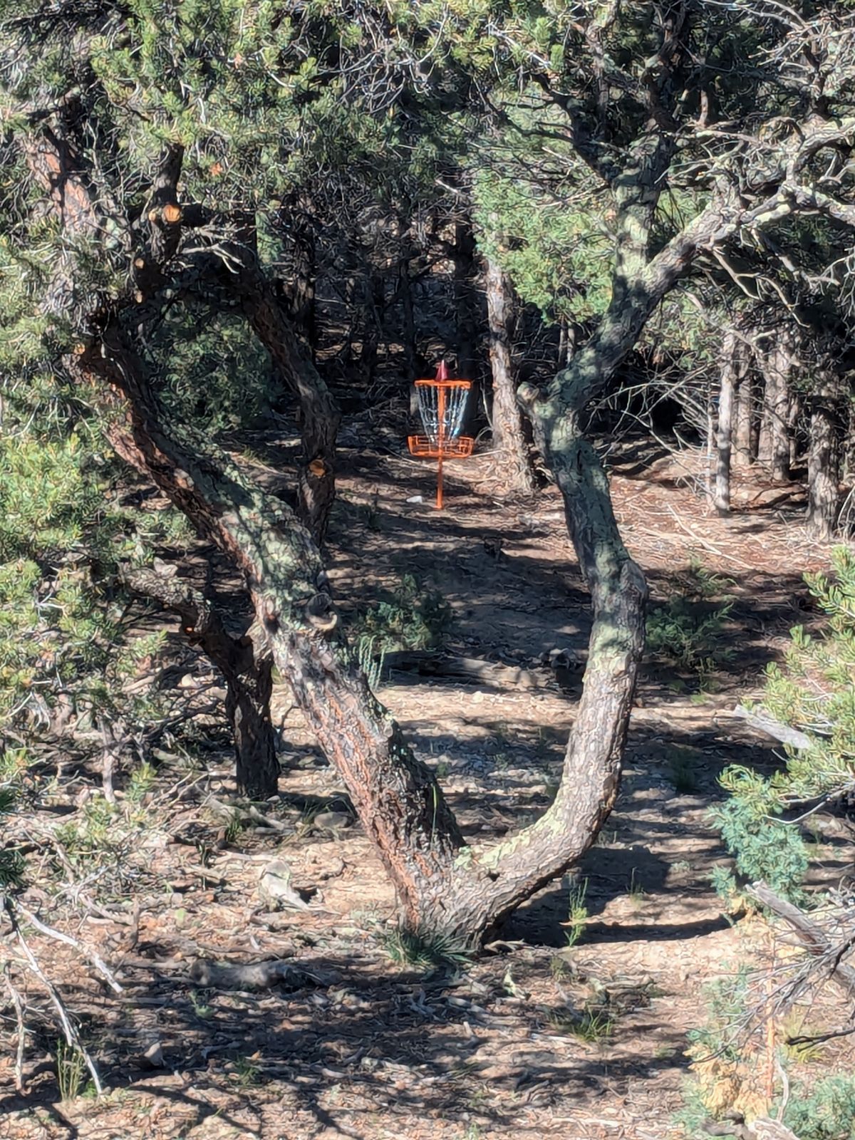 Hole 4 (double mando)
