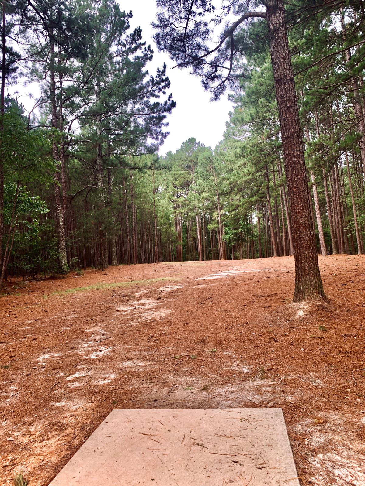 Hole 1