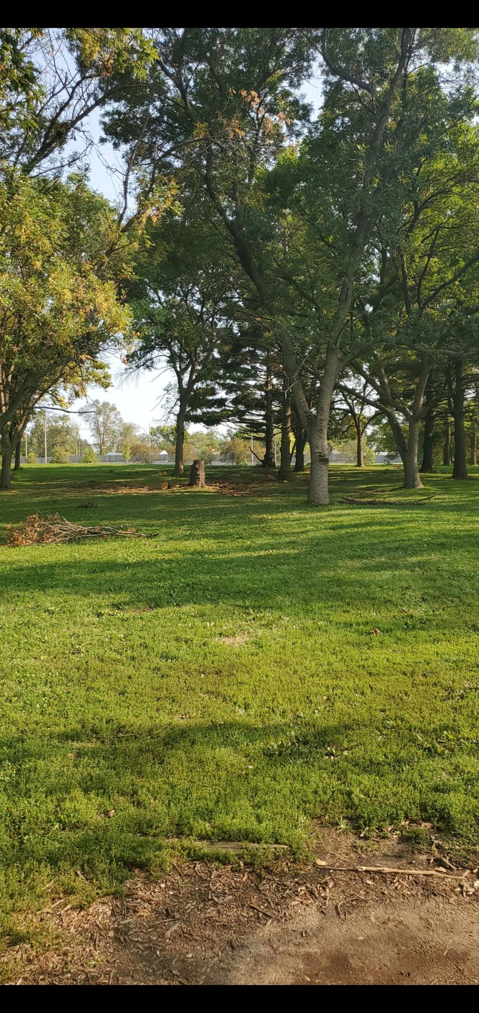 Hole 6