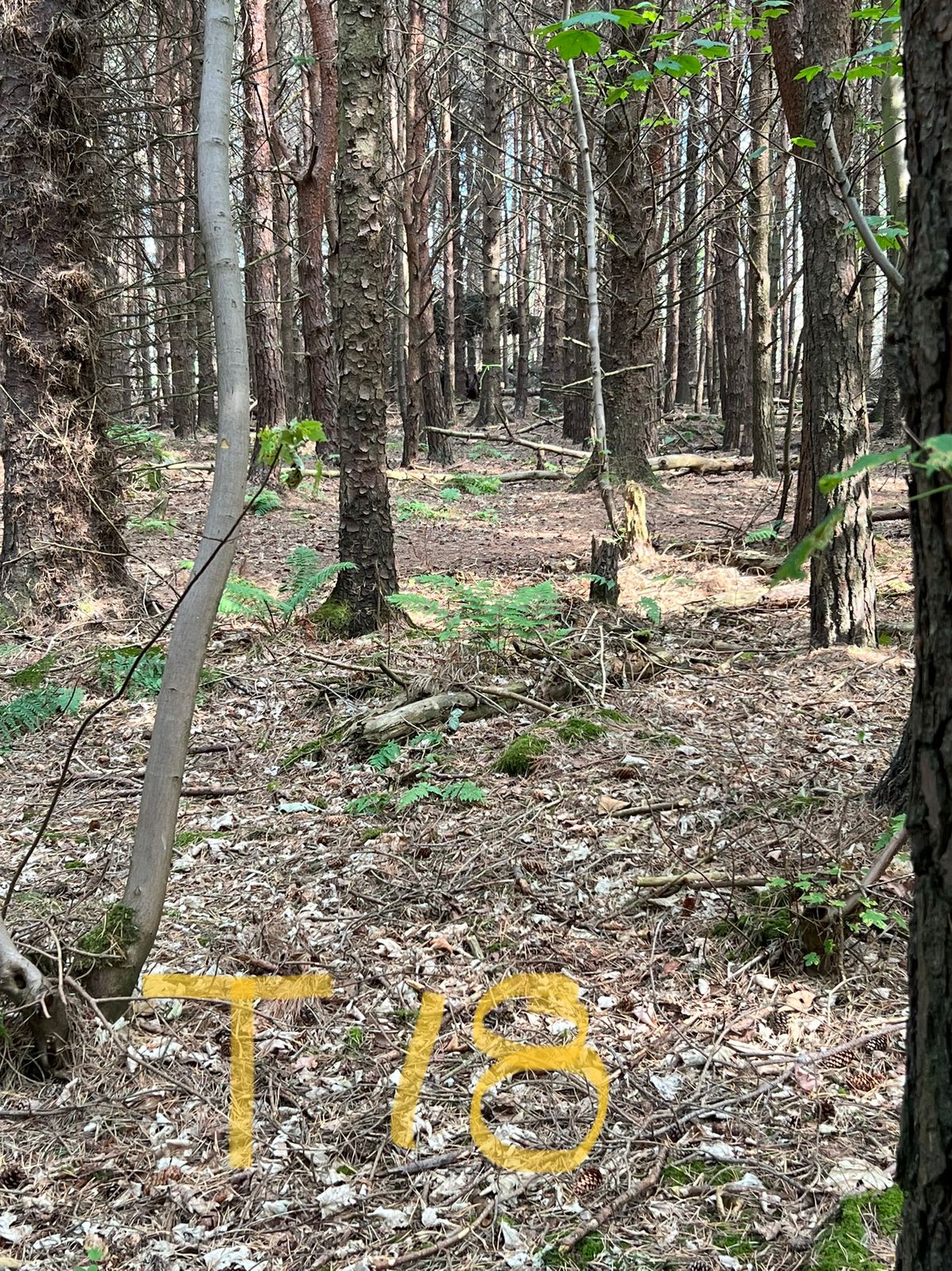 Supposed to be the easiest hole on the course. Not so much!