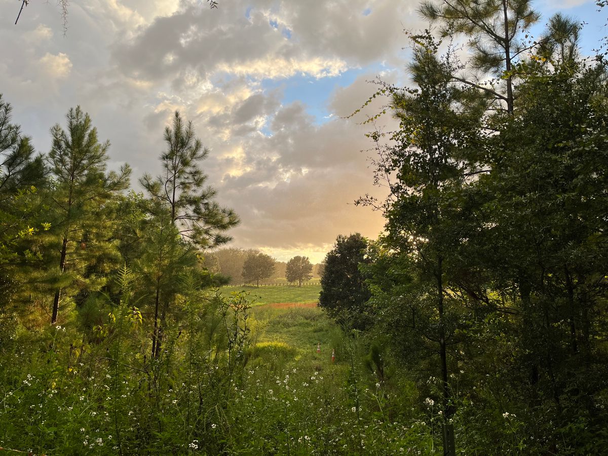 Hole 8 looking back towards hole 5 fairway across the sinkholes.