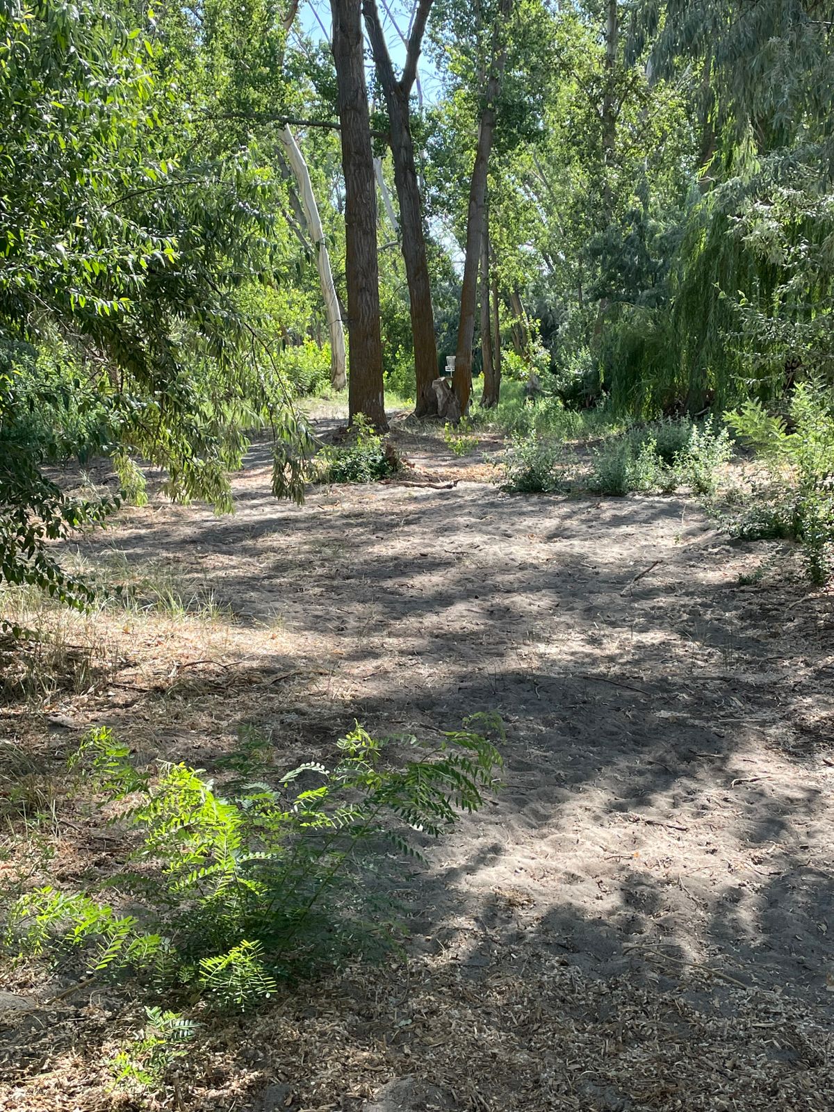 Hole 17