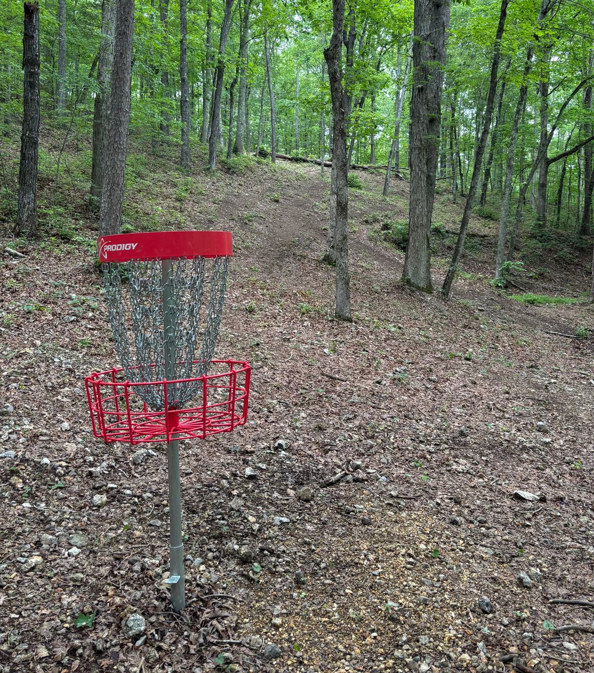 Hole #6 Basket to Tee