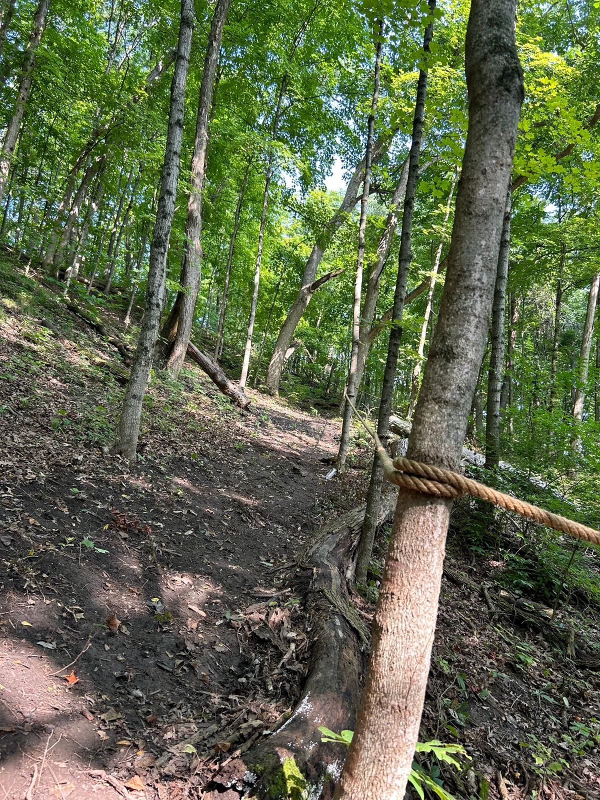 Hike back up to top for finishing holes