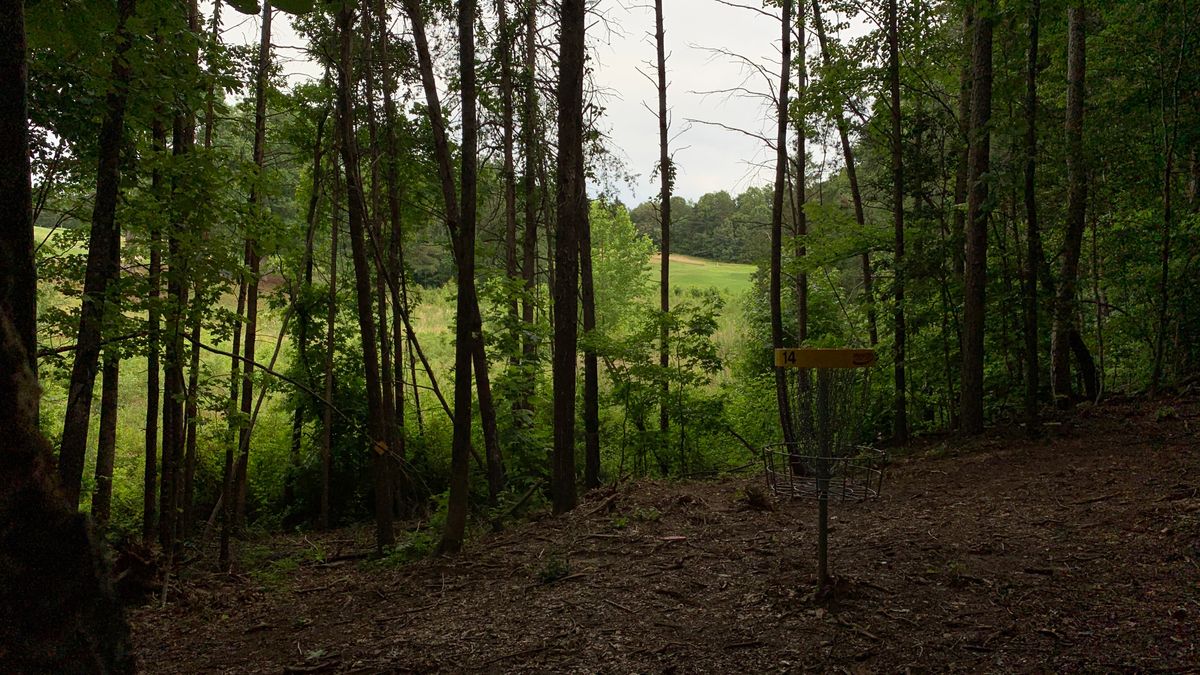 Hole 14