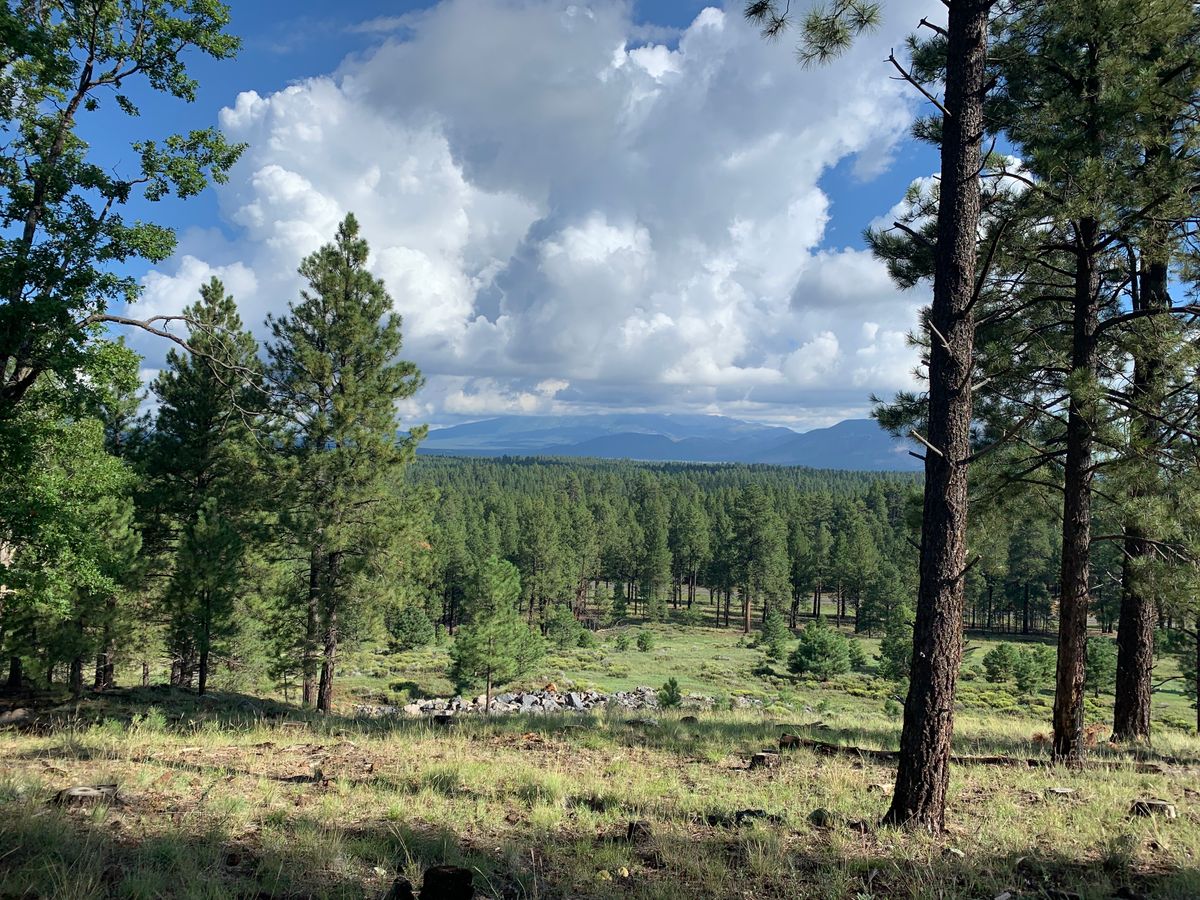 Best view in Flag (Hole 11)!