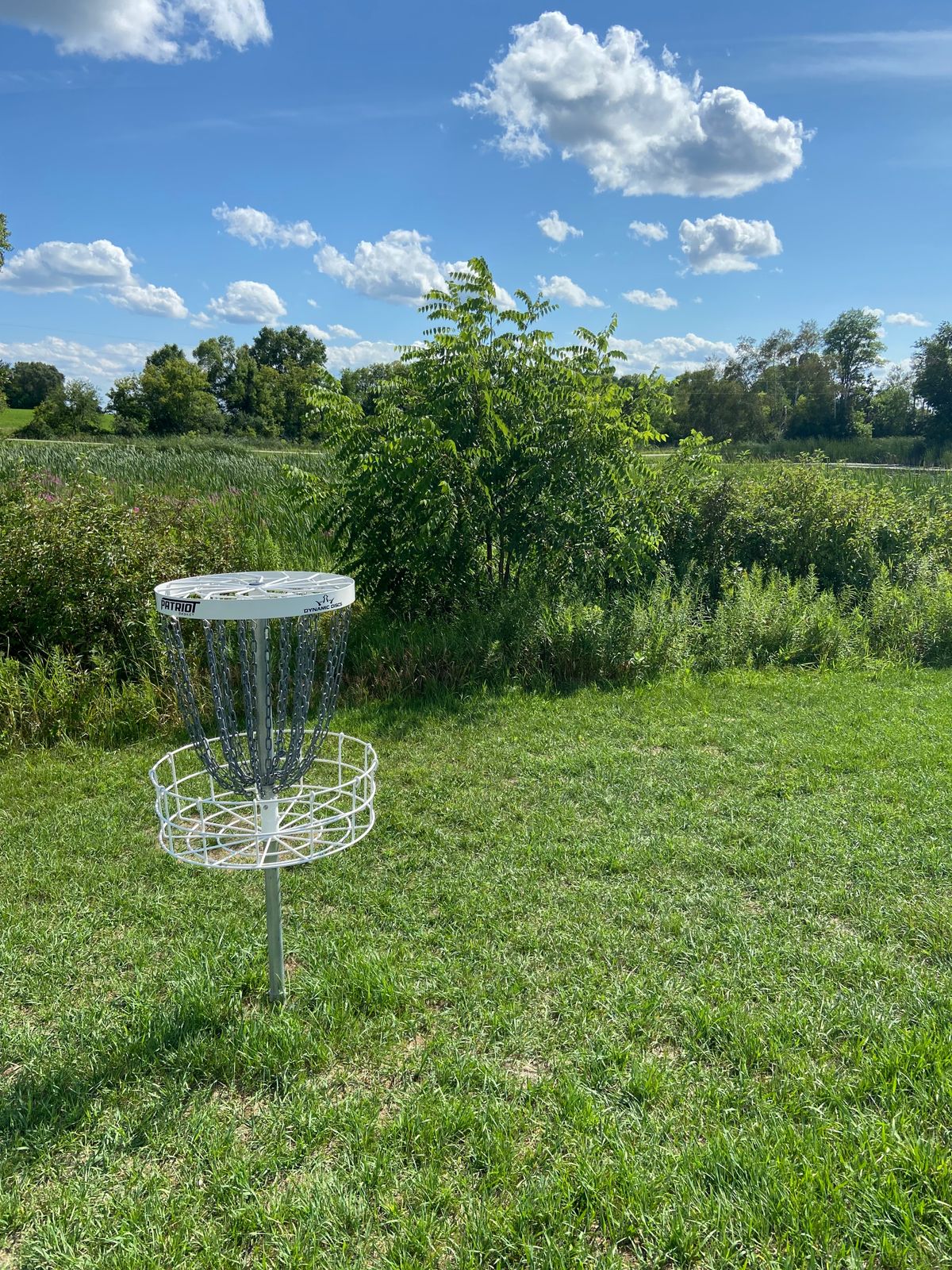 Hole 4 basket