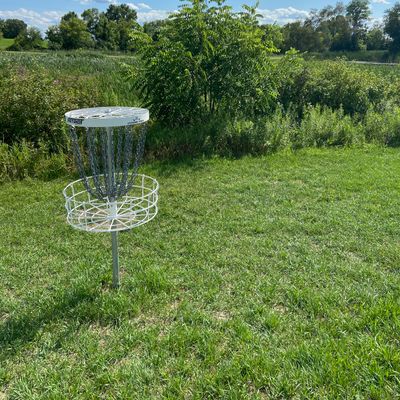 Hole 4 basket
