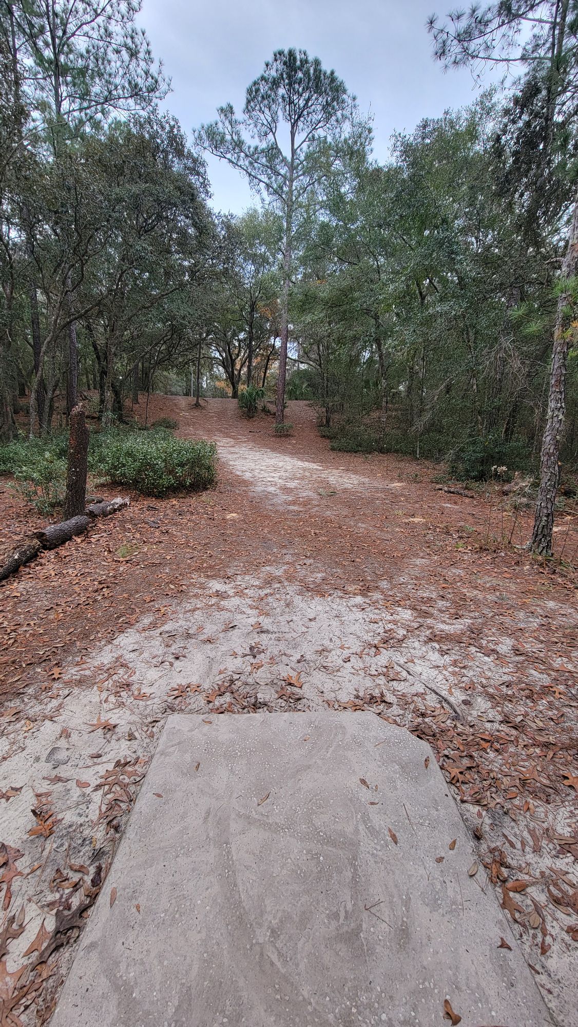 #8 Tee (only pad)