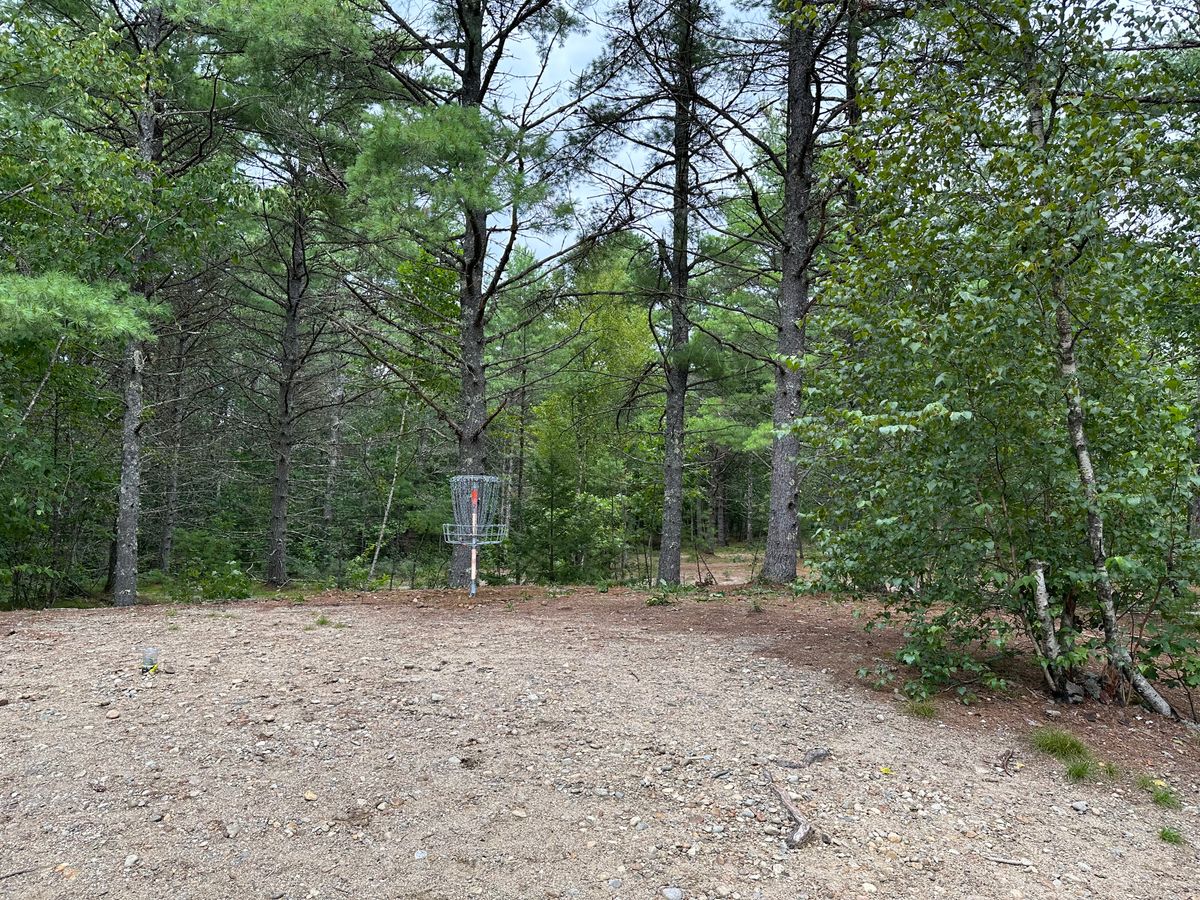 New basket location: Hole 7