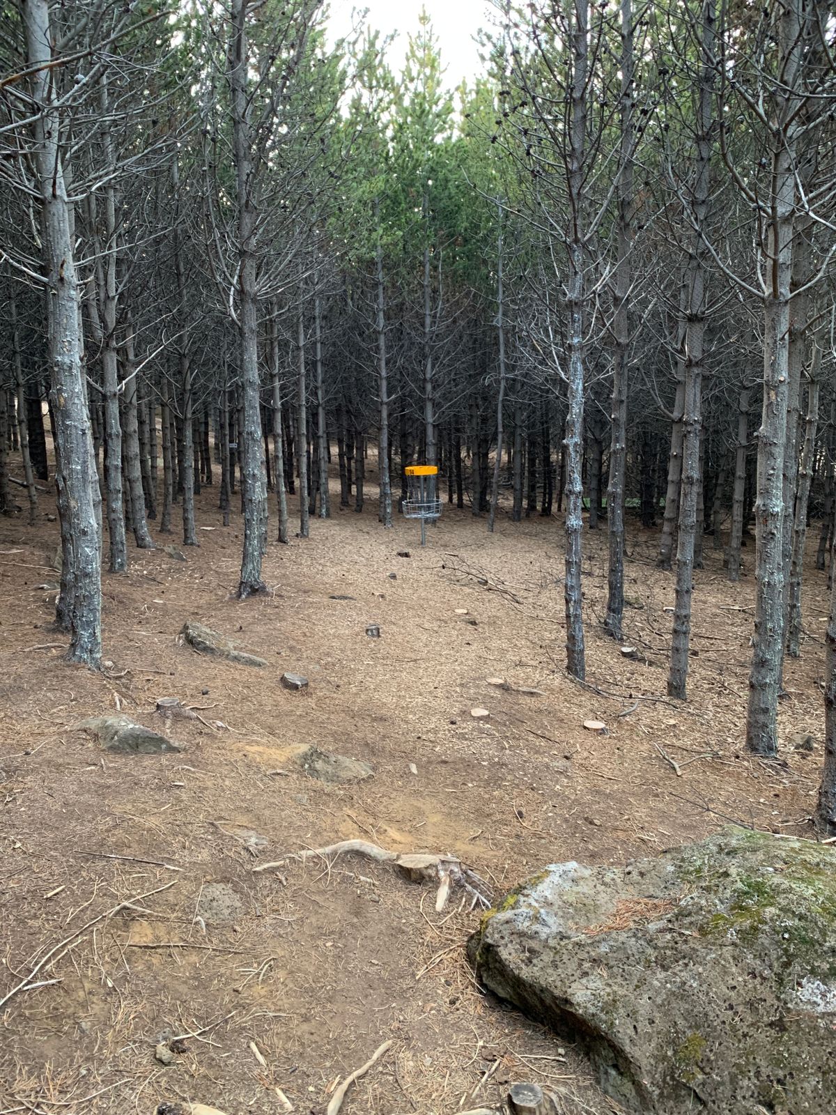 Hole 14