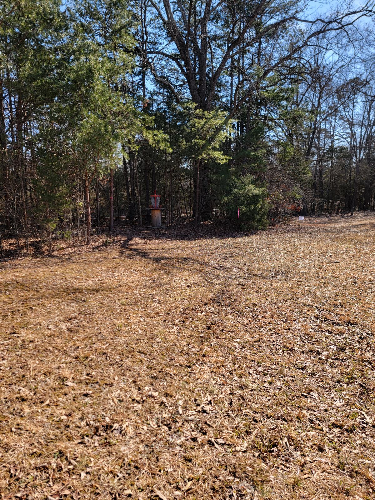Hole 3 basket, tucked in the woods
Pink ribbon marks the entry spot.