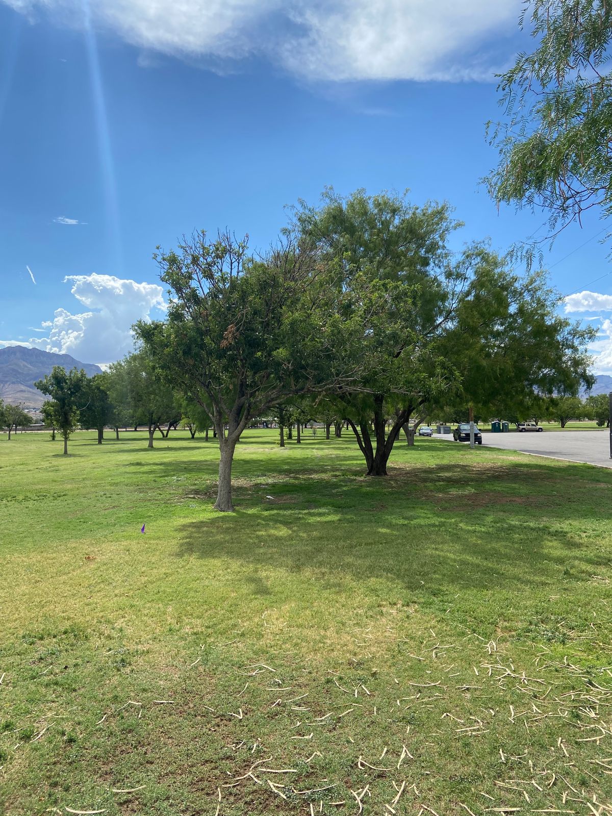 Hole 1