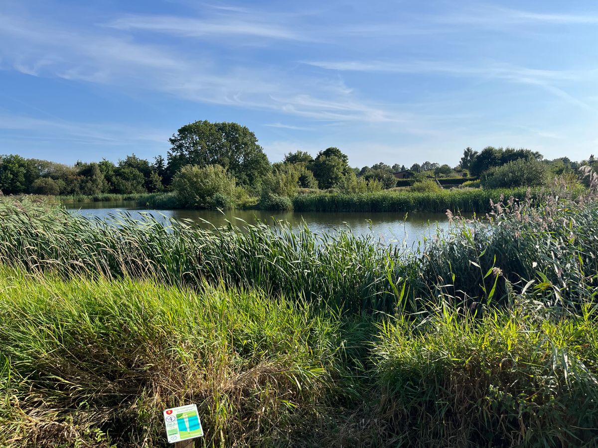 Hole 4