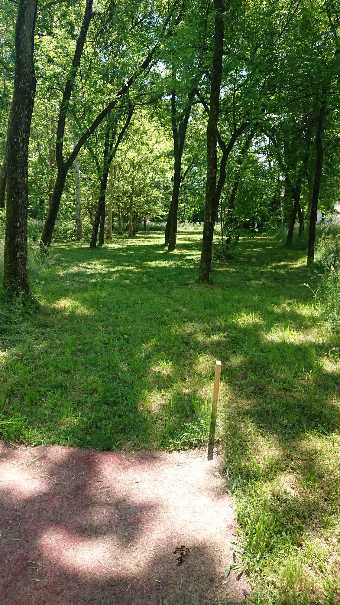 Hole 8