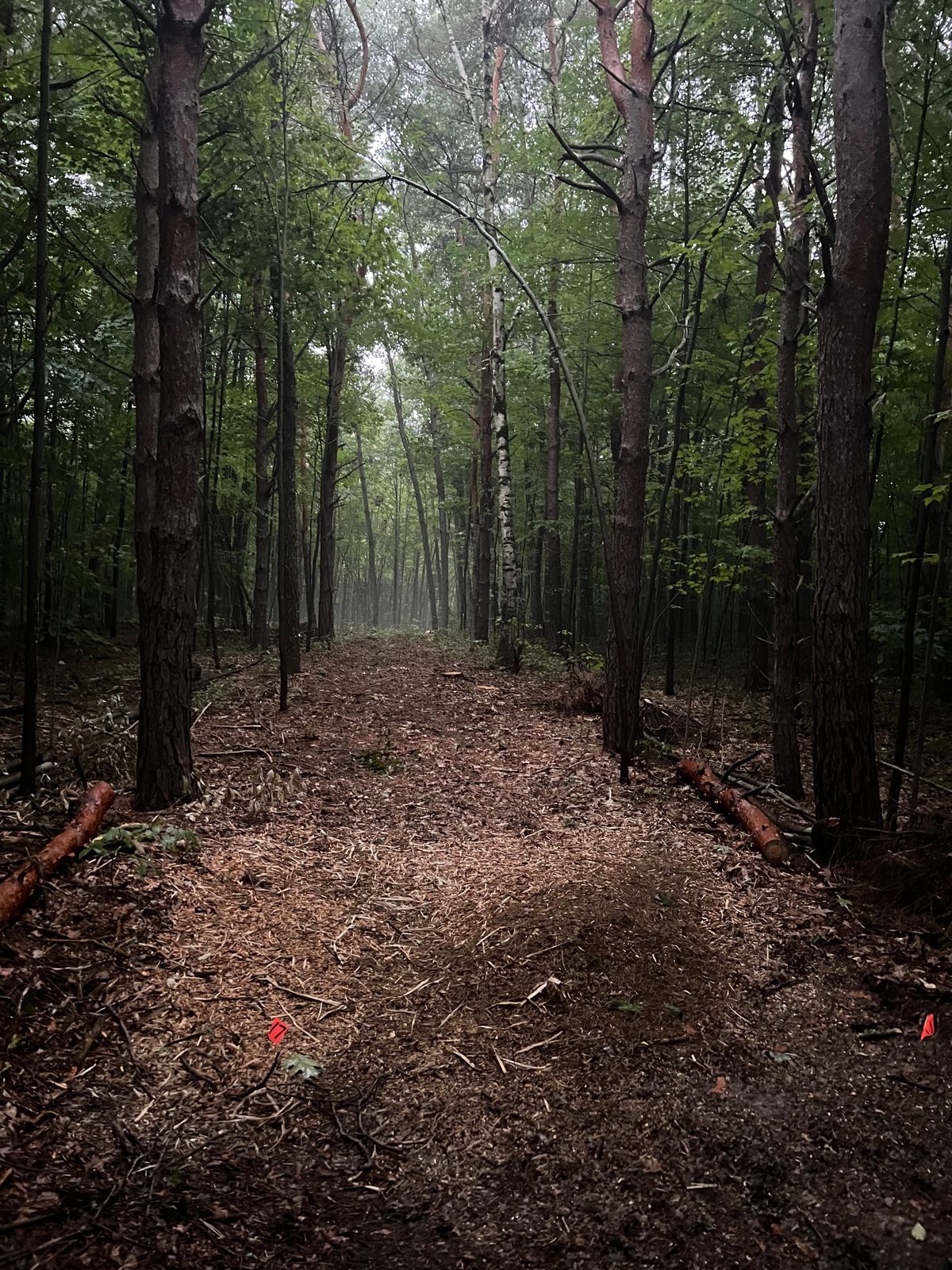 Hole 17s tee pad