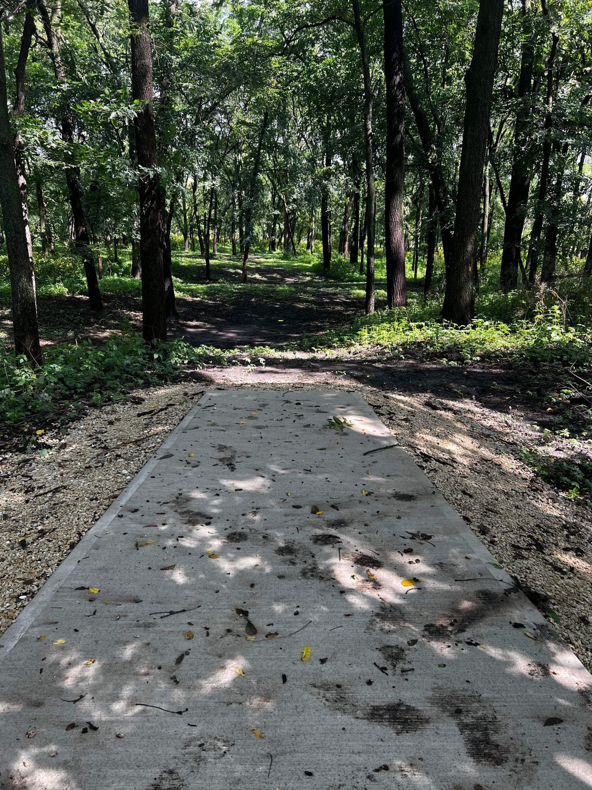 Hole 5 Red