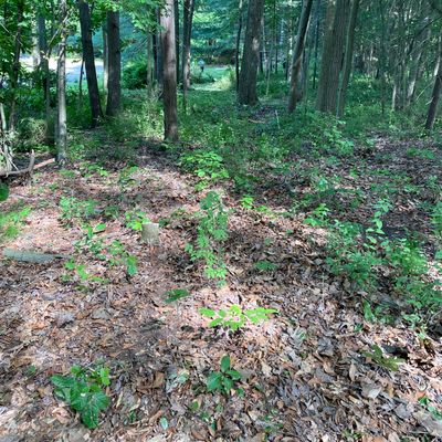 Hole 2 from tee