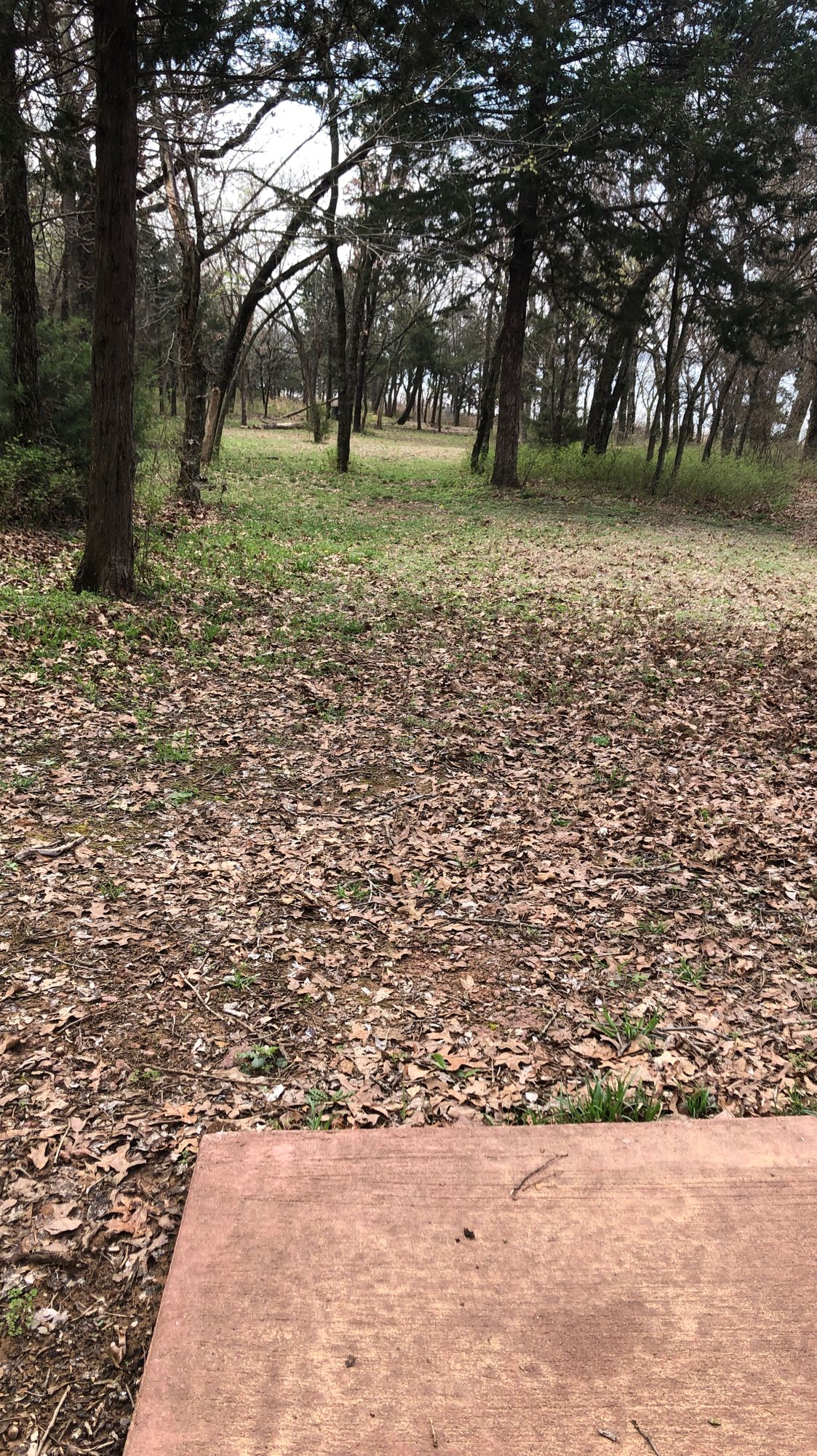 Hole #3 long tee pad 264’