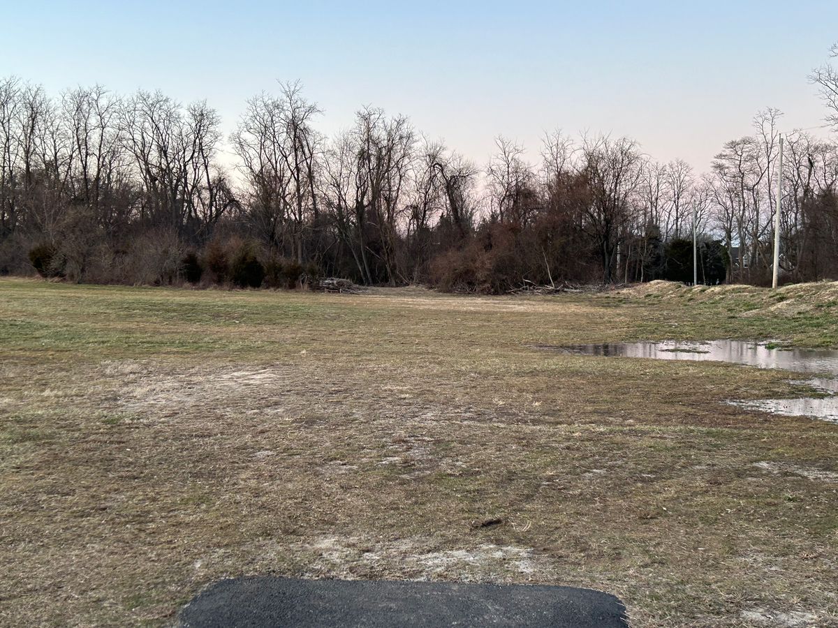 A look at the opening into the woods from Tee 1