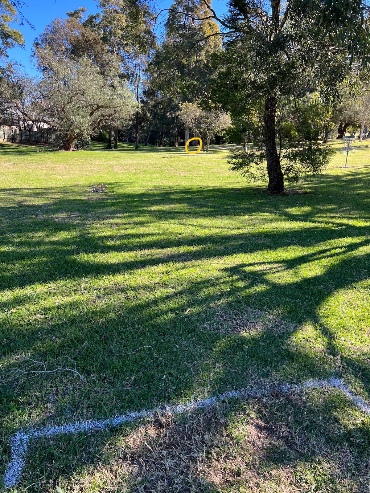 Alt 2 hole 11