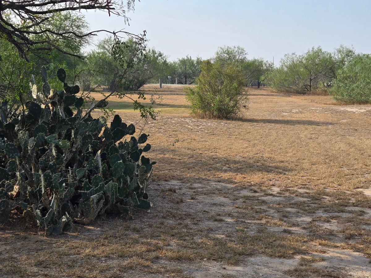 18th.  Get around this cactus and you will be fine.  It's about 250 off the short tees.