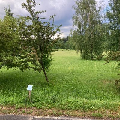 Course photo