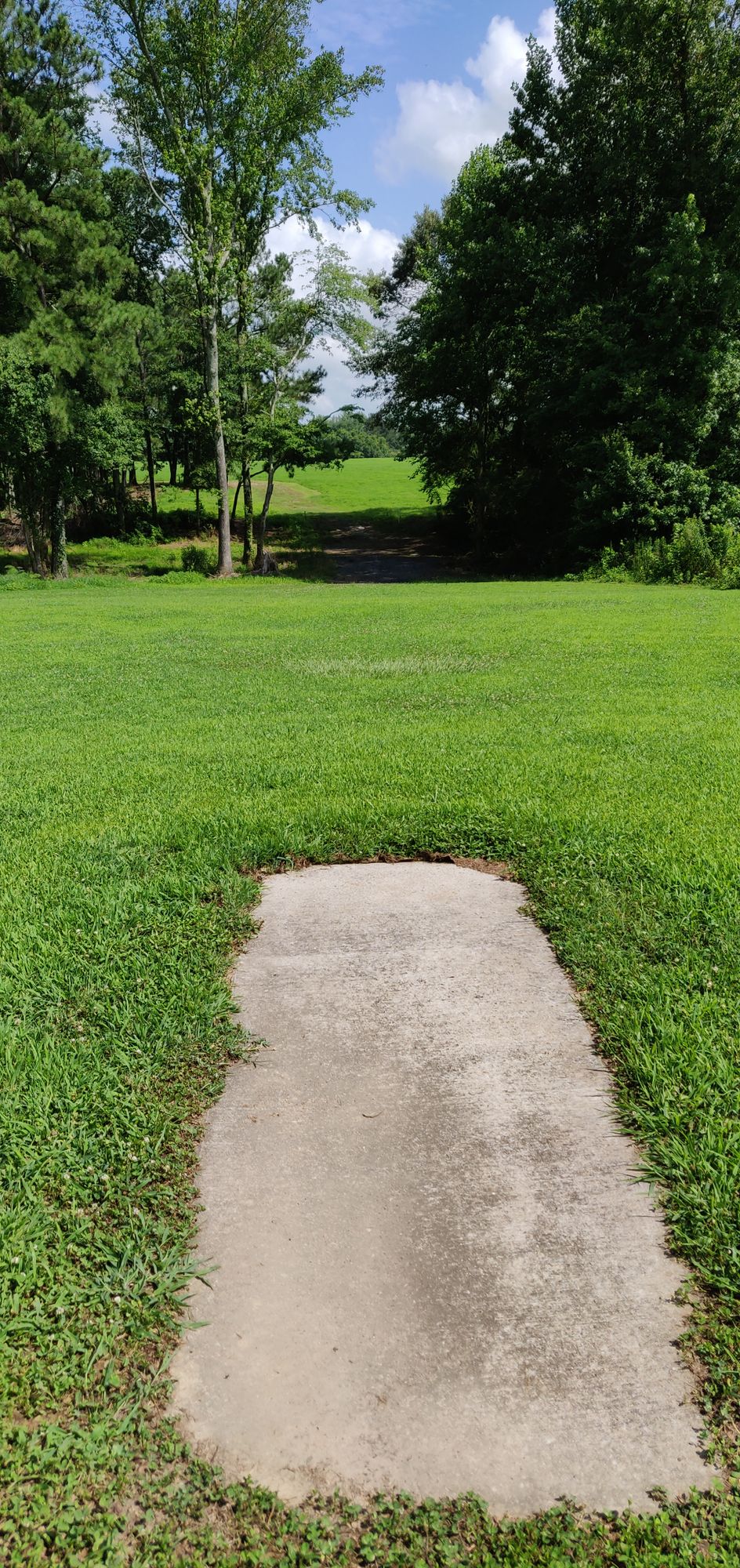 Hole 4 Purple Tee