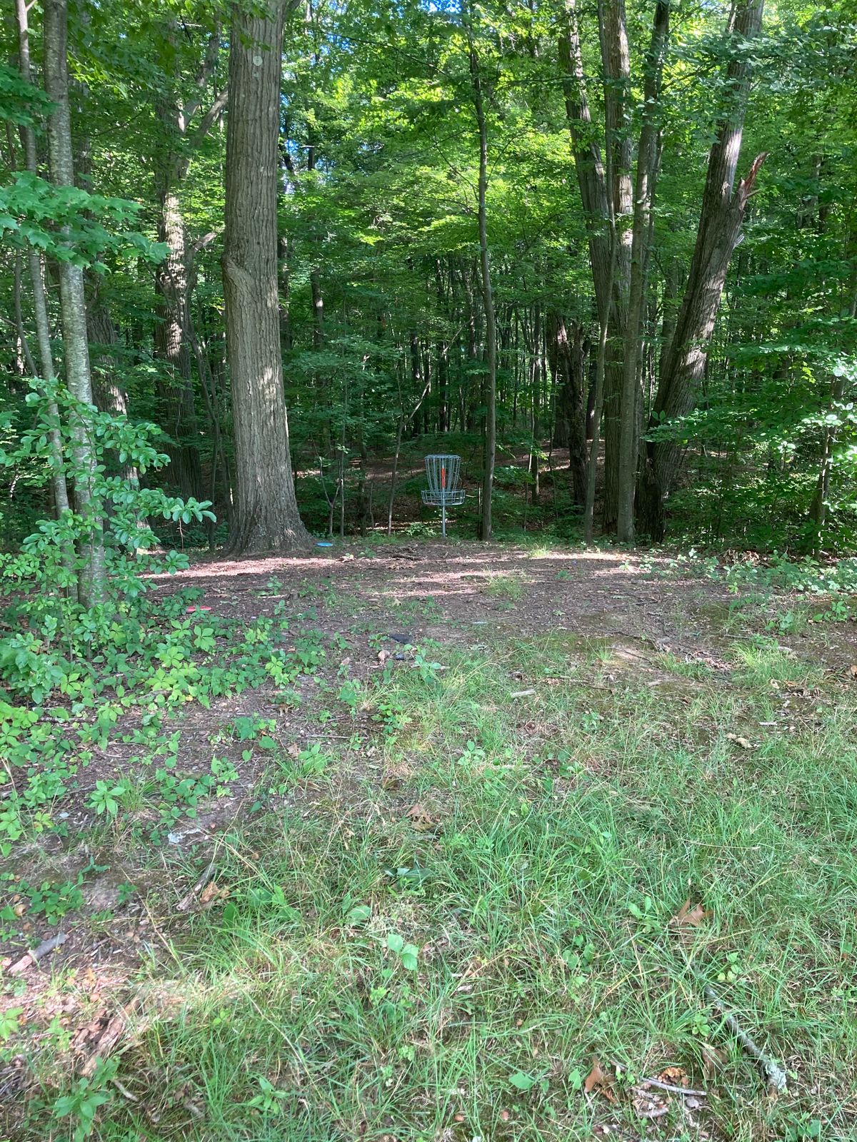 Hole 3 basket