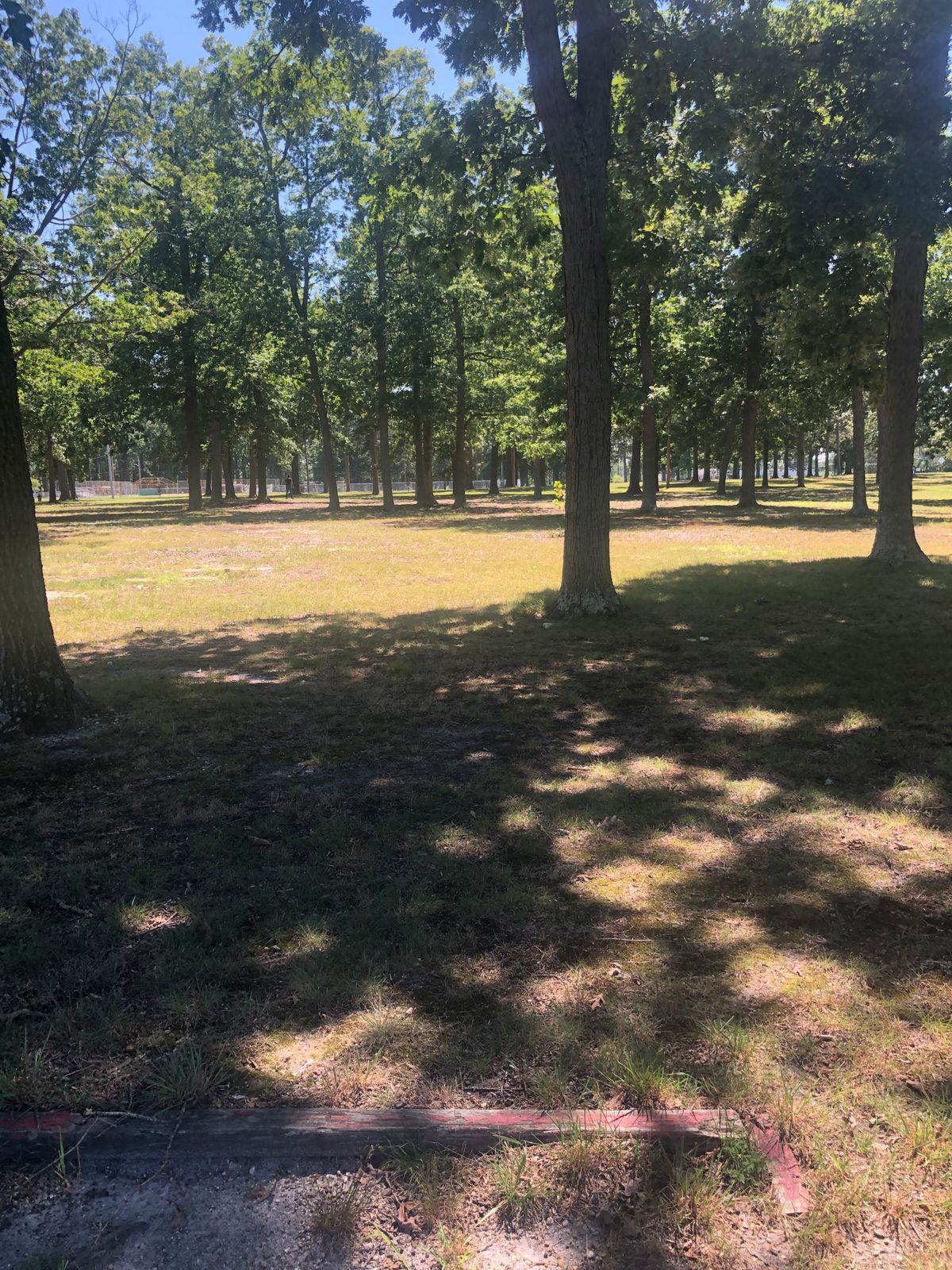 Hole three tee box.