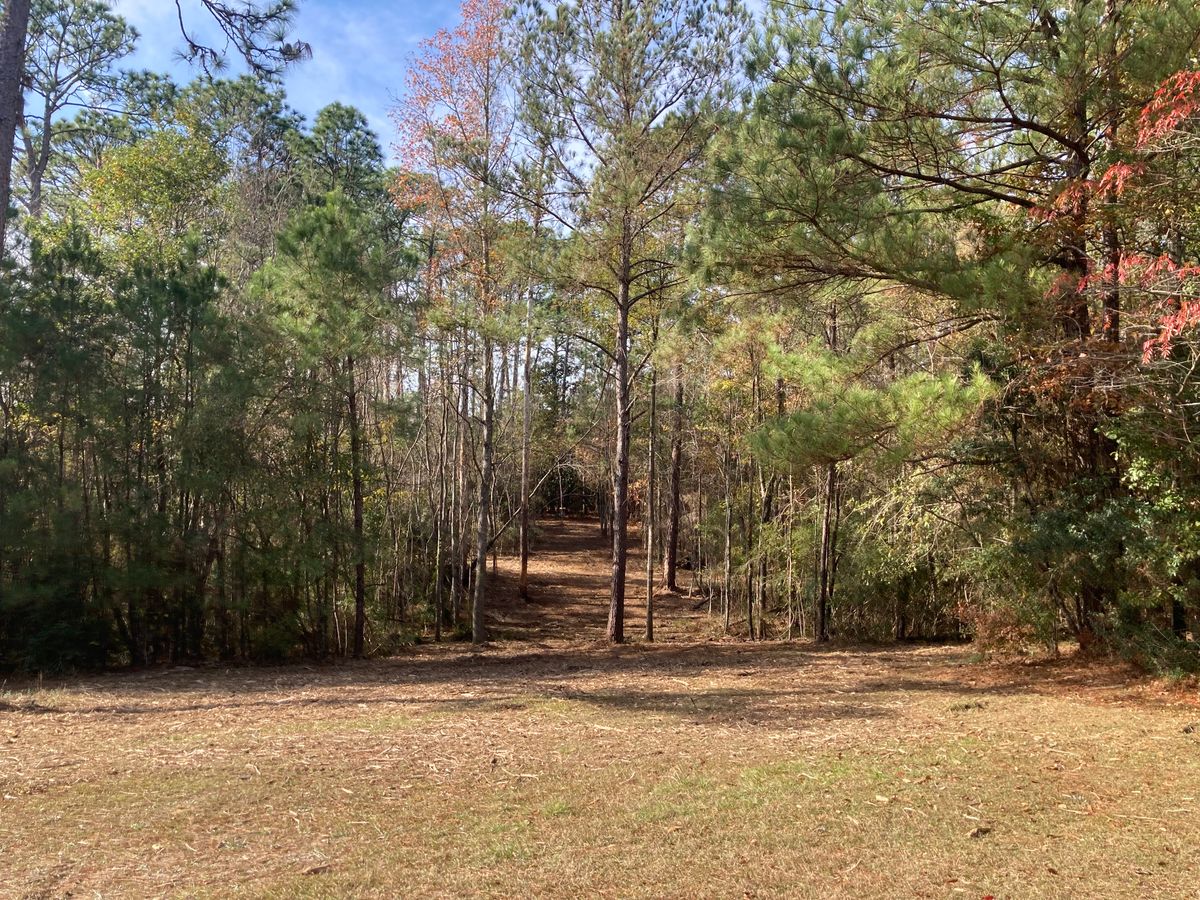 Hole 1