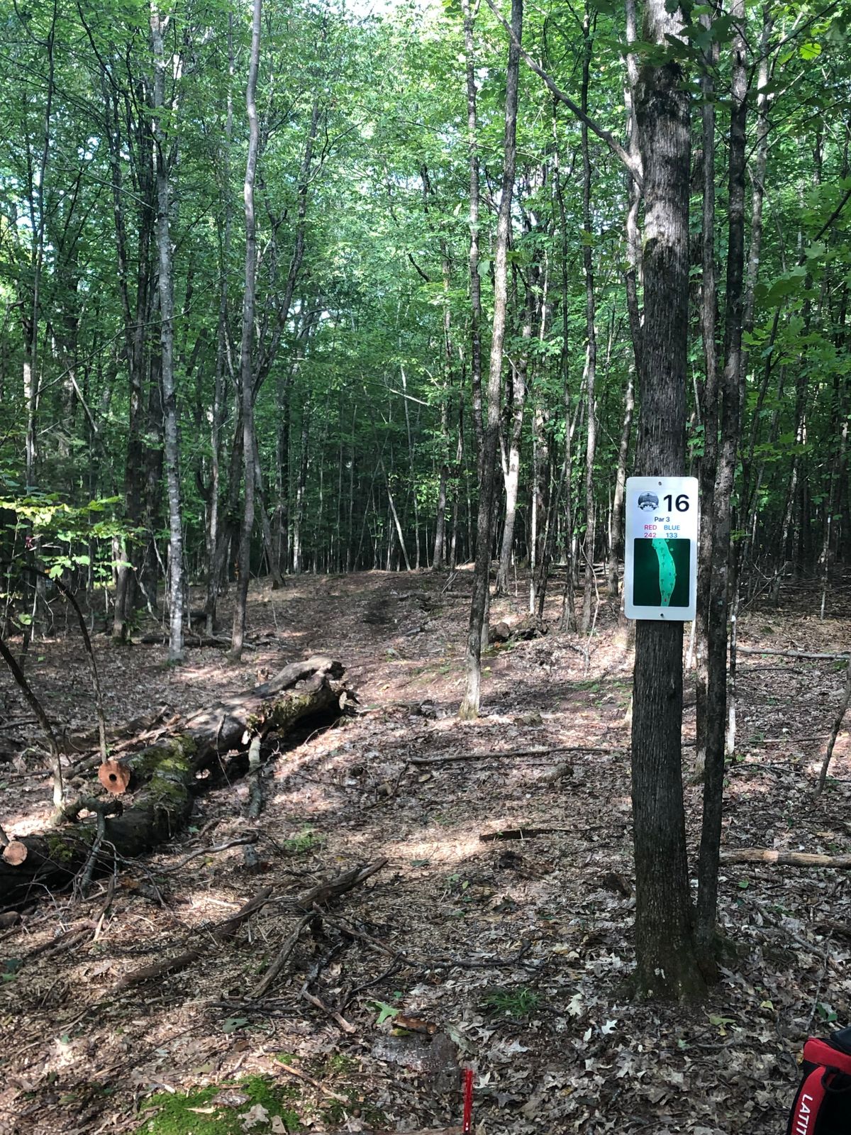16 Tee