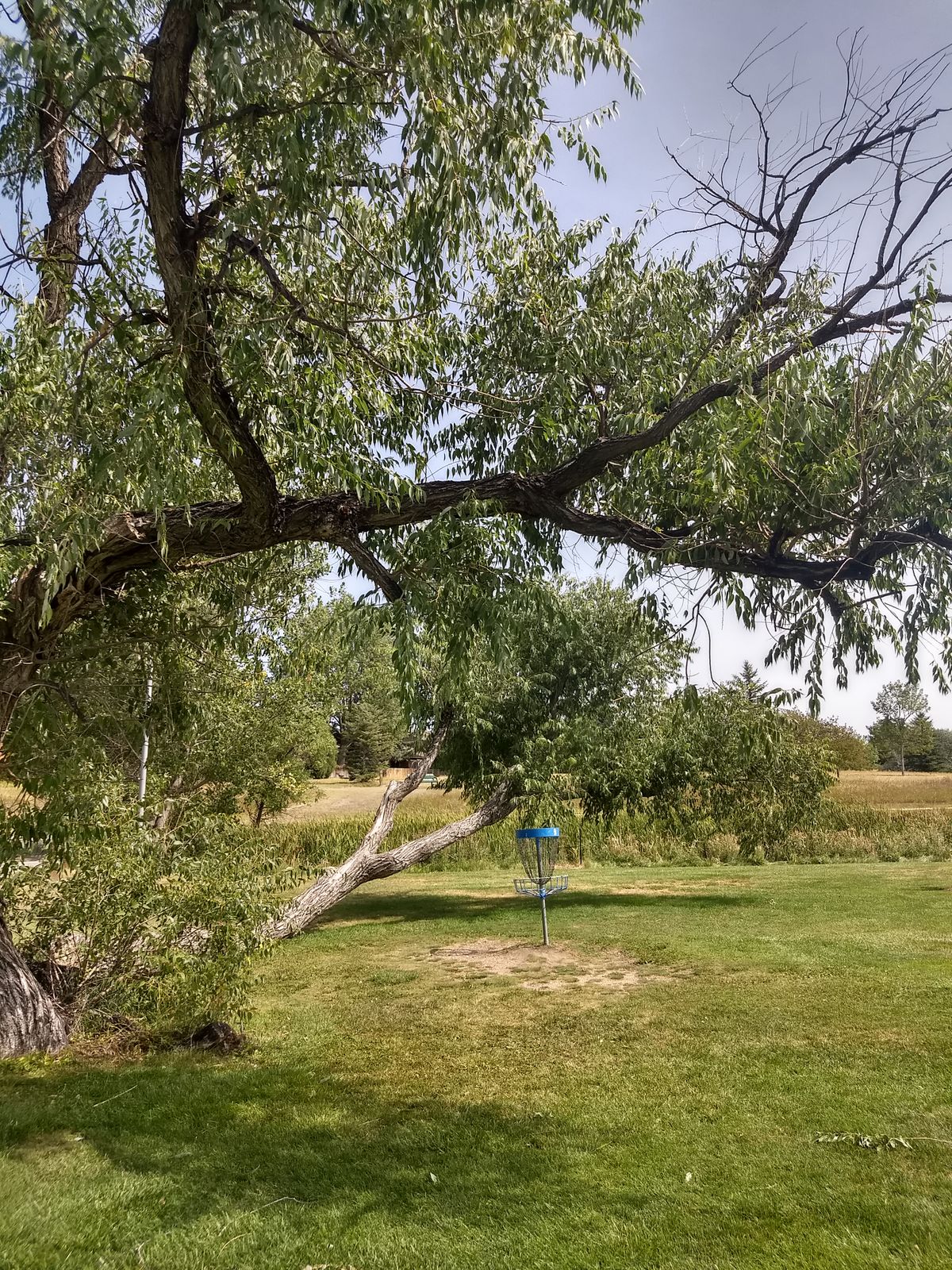 Hole 9