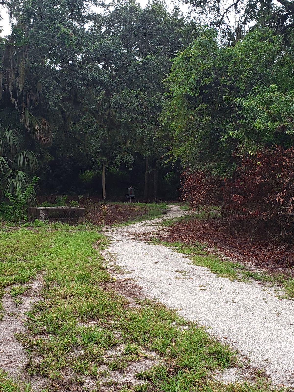 Hole 2 fairway