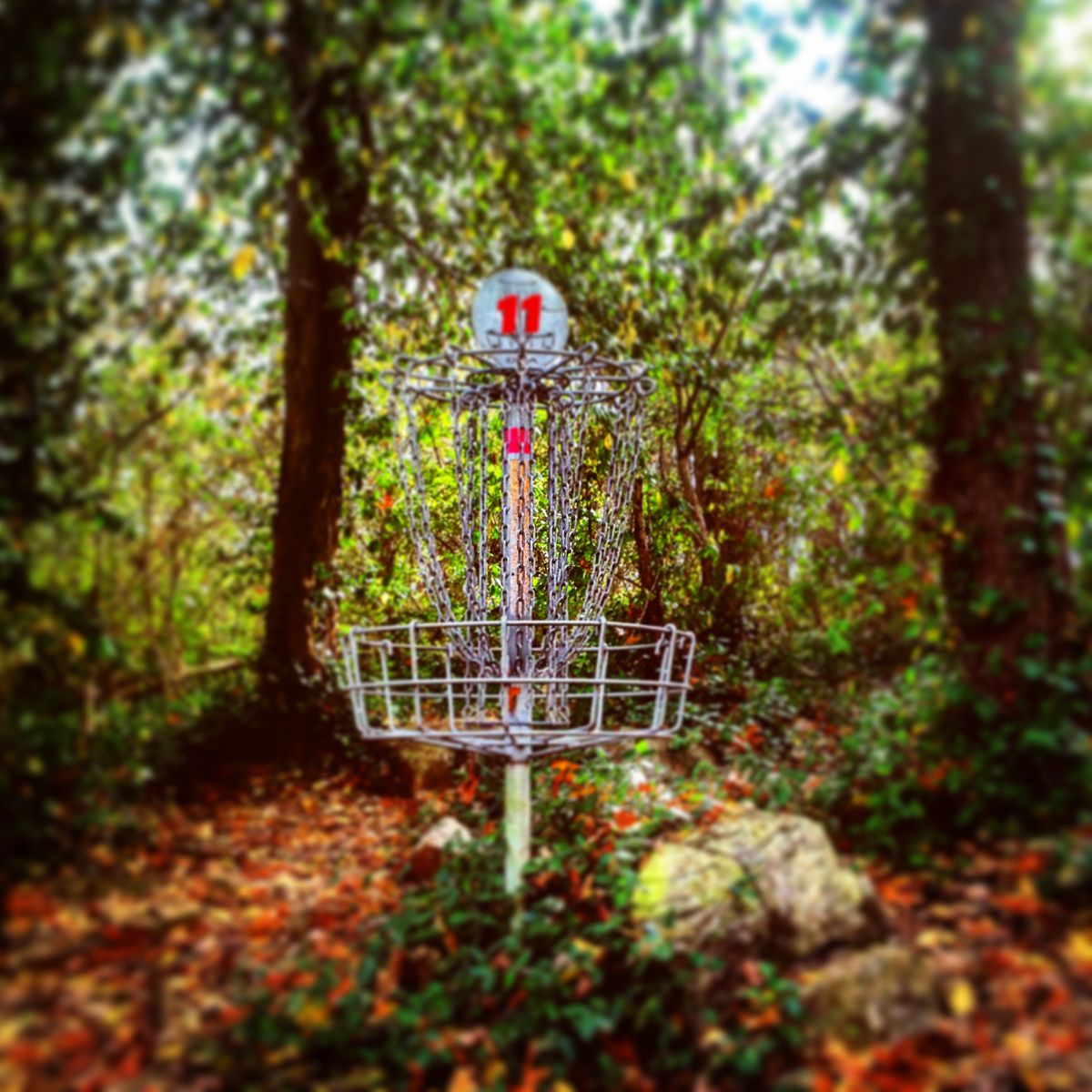 Jennings Creek runs along the left side of this short technical par 3.  Not quite a tunnel but a straight shot that finishes gently right is ideal.  Nestled deep in the woods with Jennings Creek flowing in the background, take a minute and enjoy the sights and sounds of this hole.