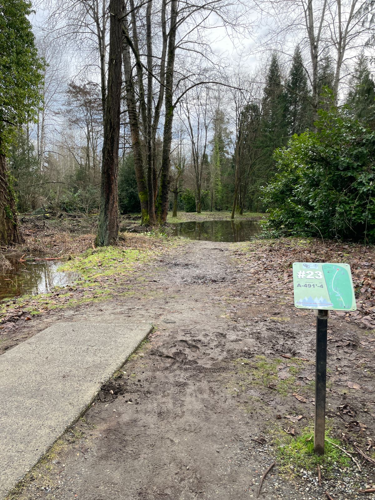 Hole 23