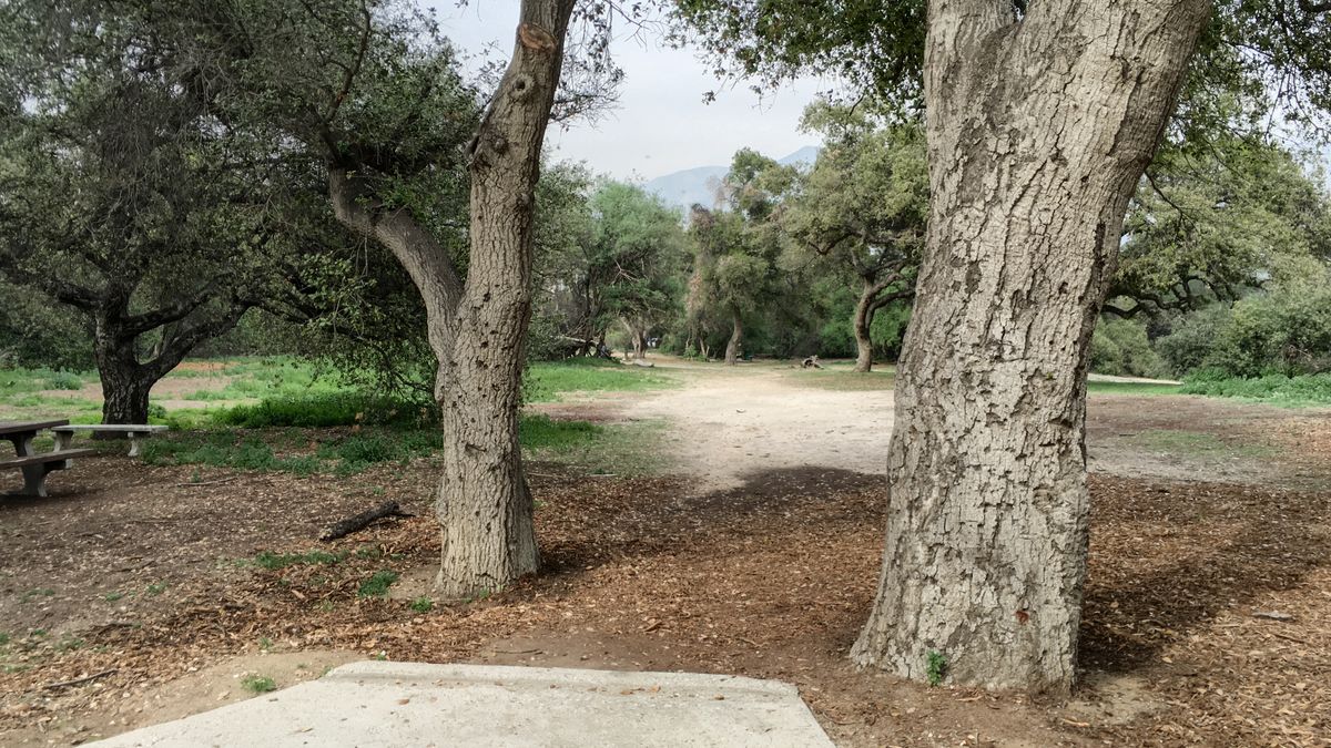 Hole 10