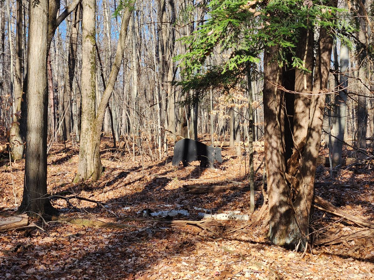 Bear Cutout heading to Hole 11
