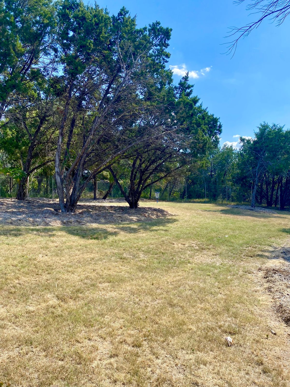 Basket 4 is in the back corner of the property.
