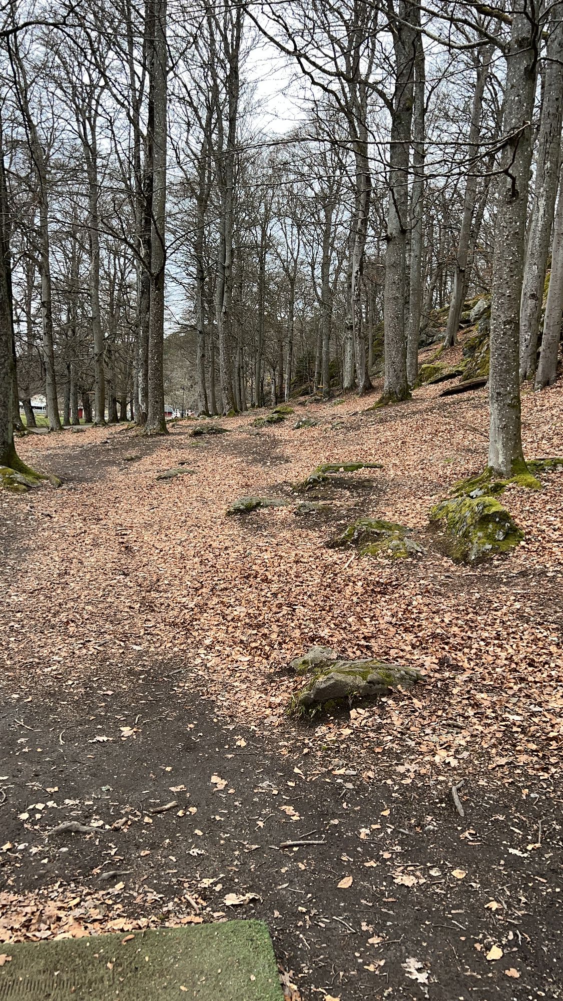Hål 1 par 3 ca 80m
