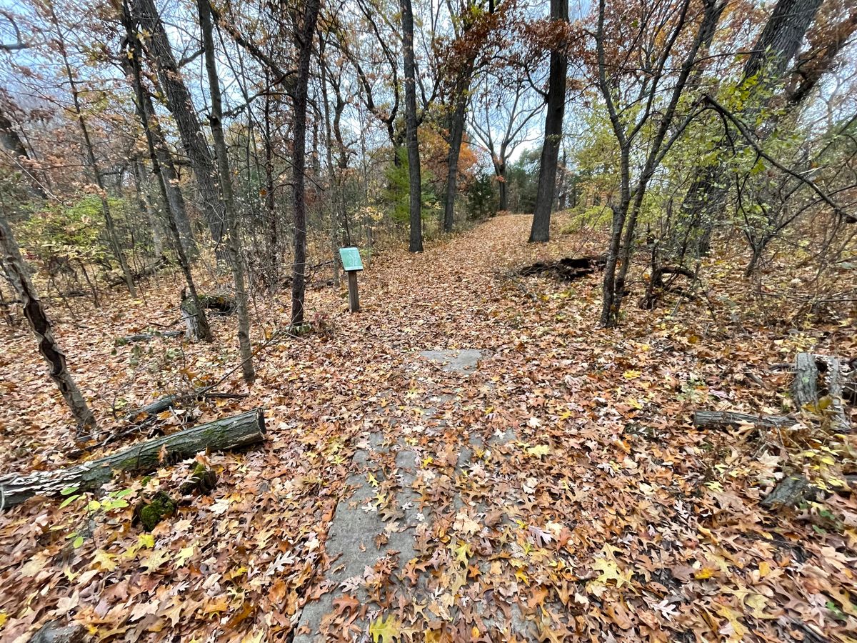 Hole 8 from long tee