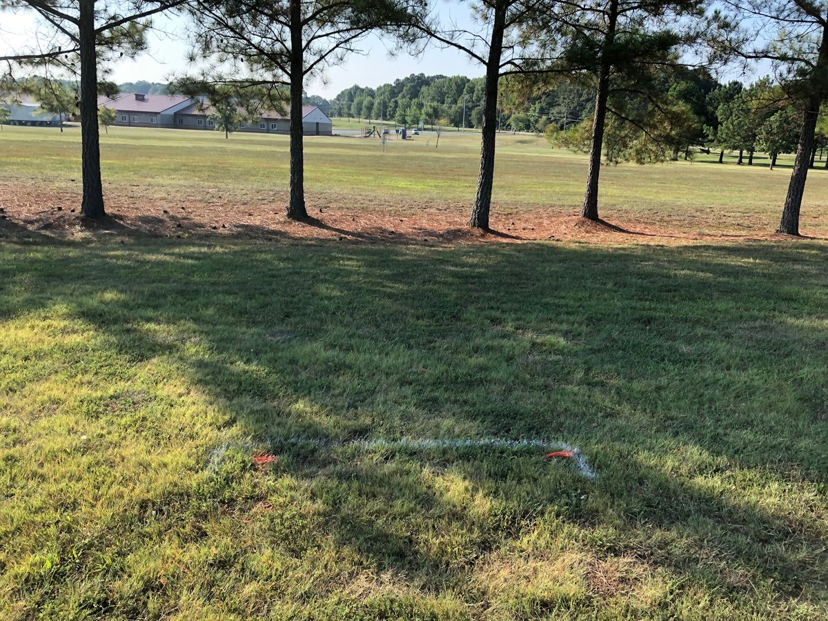 #6 tee