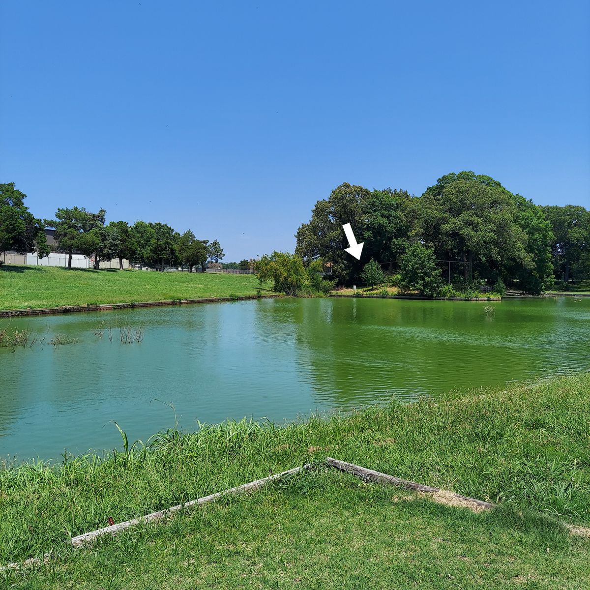 13's awesome over-the-lake-drive from the tee box to the open field landing zone on the left.