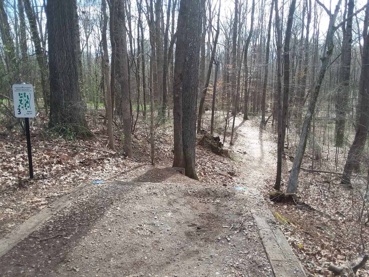 While short, hole three is downhill and curvy.
